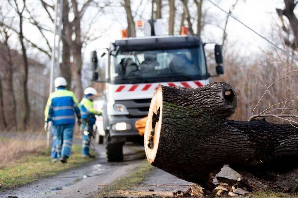 Urgent Tree Cleanup & Storm Damage Service