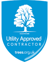 Utility Approved Contractors in Bristol, UK