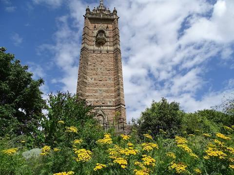 Cabot Tower